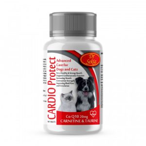 Cardio Protect 100 tablete 100g supliment inimă câini pisici coenzima Q10 taurină l-carnitină