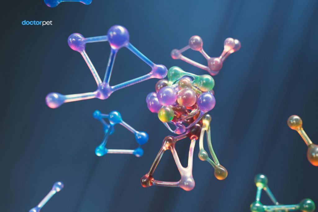 Metabolismul substanțelor organice 2 Ilustrație 3D a unei rețele de molecule implicate în metabolism