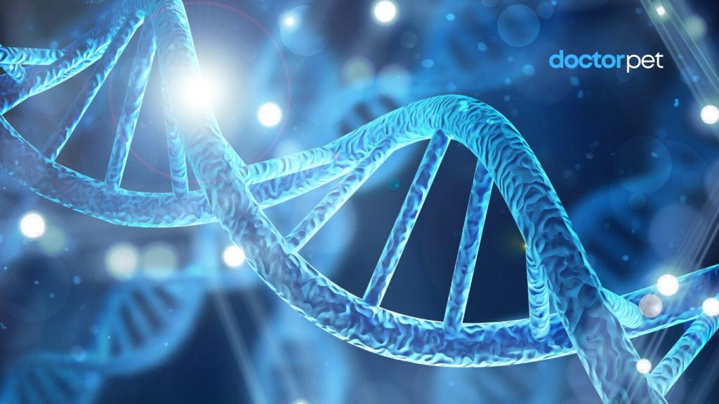 Ce înseamnă „moștenire genetică”? De ce unii câini sunt predispuși la anumite boli? ADN-ul răspunde. În această imagine, explorăm frumusețea invizibilă care definește cine este companionul tău – până la ultima celulă.