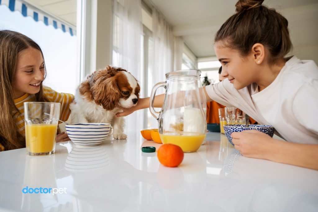 Rolul vitaminelor în organism 2 Două fetițe la micul dejun alături de un cățel – moment cald, familial, cu suc de portocale și veselă colorată.