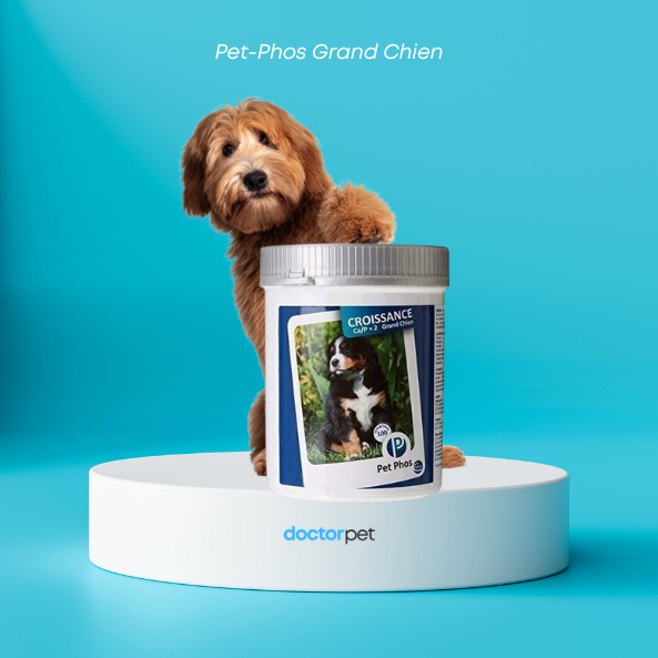 Supliment pentru câini de talie mare Pet-Phos Grand Chien prezentat cu un cățel drăgălaș pe fundal albastru