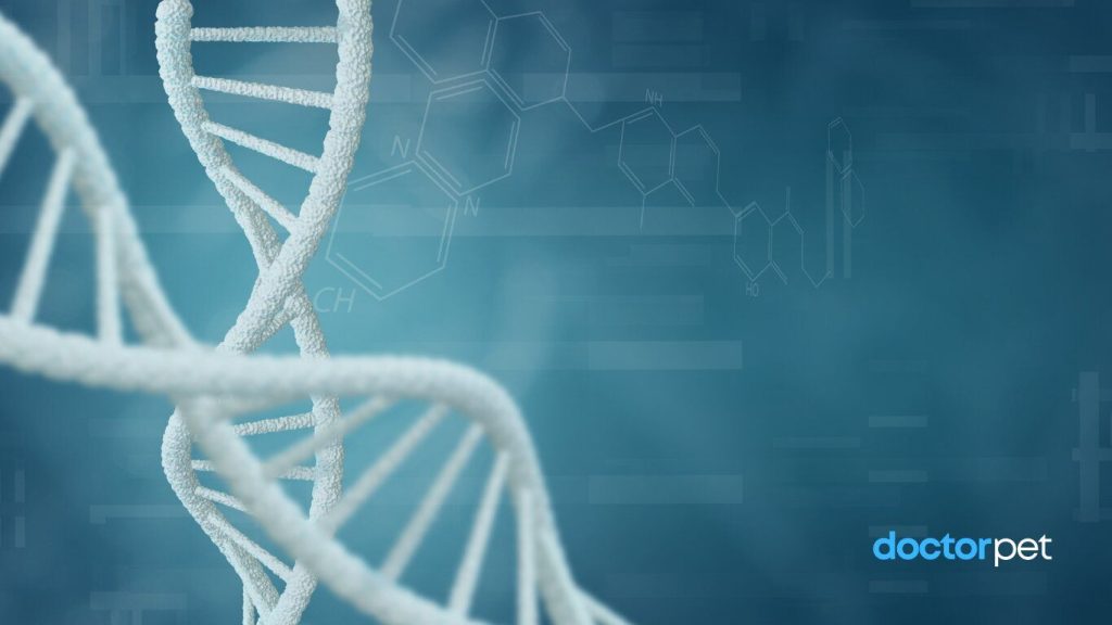 Reprezentare stilizată a ADN-ului luminat, simbolizând complexitatea geneticii la animalele de companie
