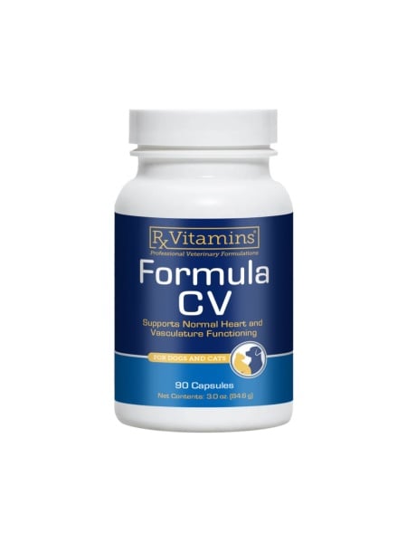 formula cv supliment veterinar electroliti vitamine B animal de companie