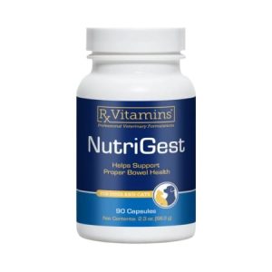nutrigest 90 capsule supliment digestiv probiotice glutamina pet