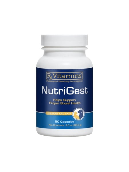 nutrigest 90 capsule supliment digestiv probiotice glutamina pet