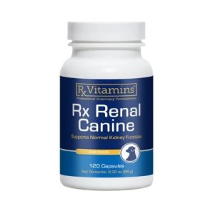 rx renal canine 120 capsule supliment renal câini veterinari