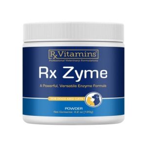 rx zyme 120g pulbere enzime digestie câini pisici gut health