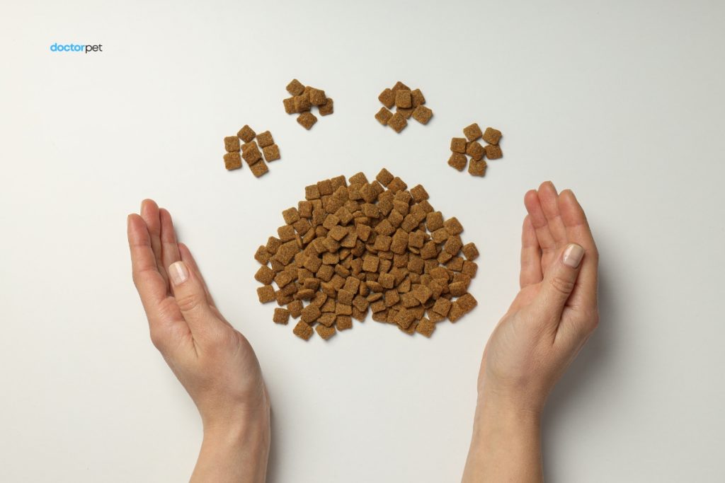 Hrana potrivită pentru câini – ghid complet de nutriție sănătoasă 2 Porție de hrană uscată pentru câini, crochete maro pe fundal deschis, încadrate de două mâini umane