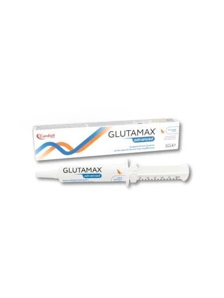 glutamax advanced paste 30 ml