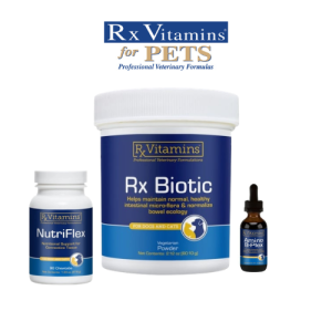 Rx Vitamins câini