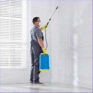 Insecticide