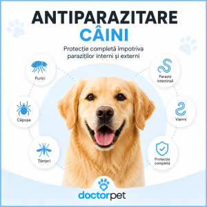 Antiparazitare Câini